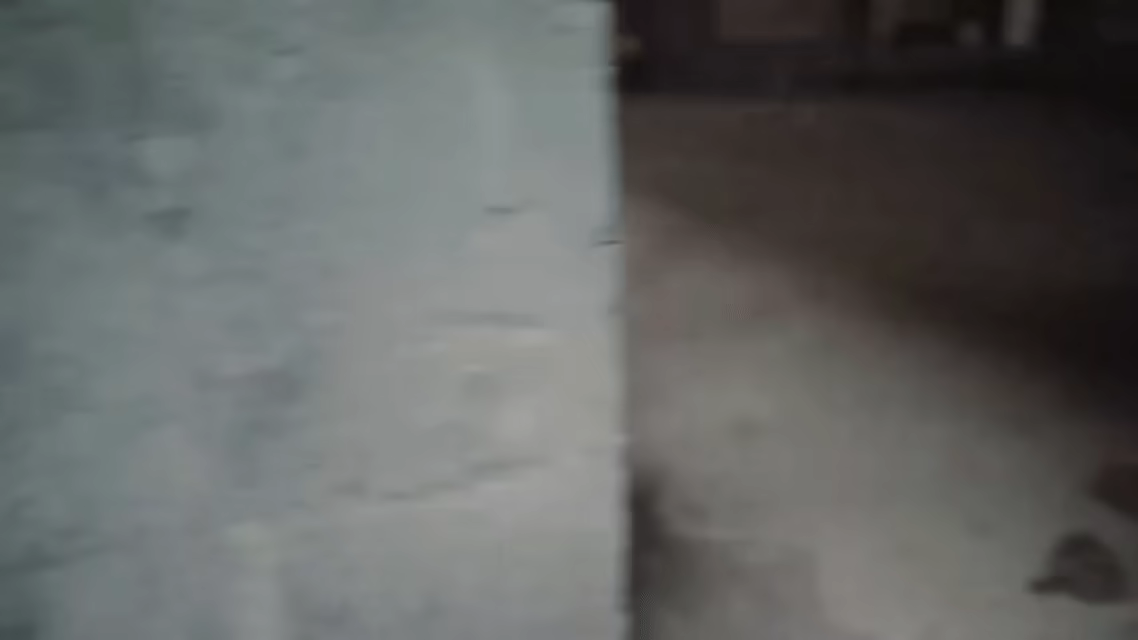 逆袭重启/rebooted fate(图6)